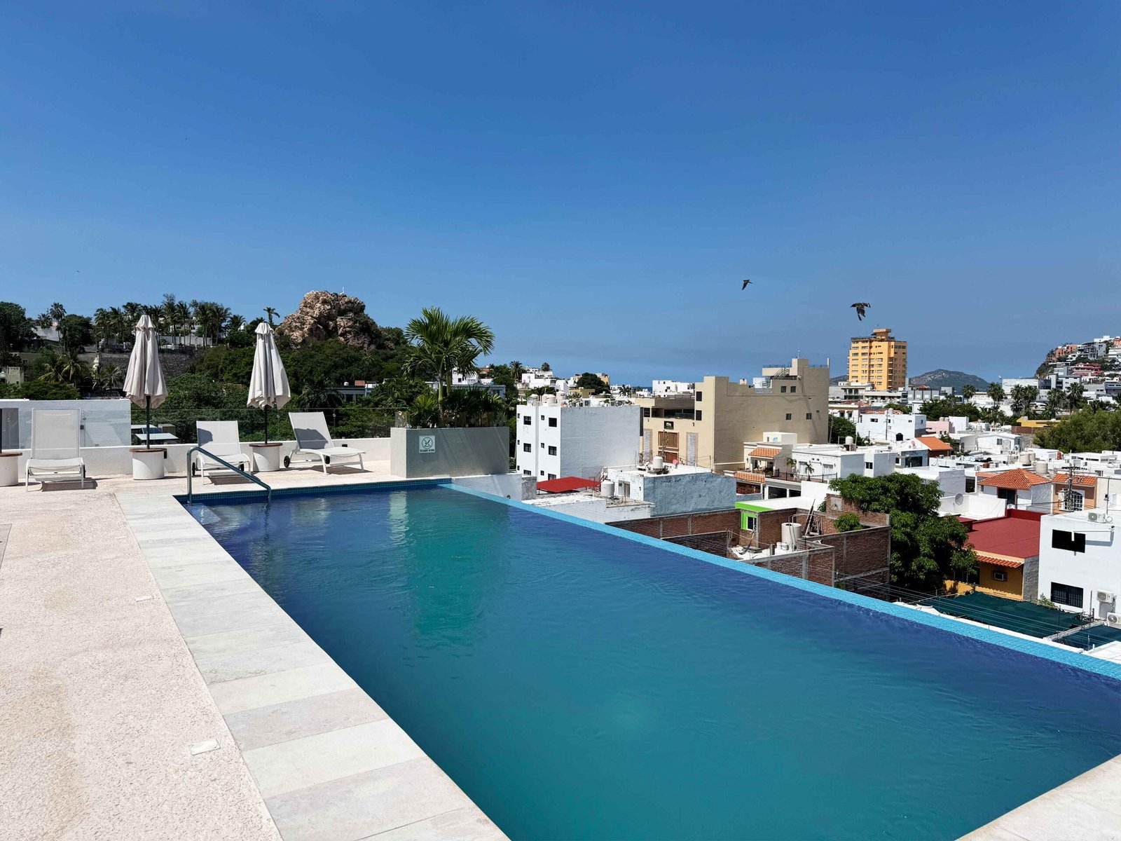 Área de alberca en Antara con sombrillas, camastros y vistas privilegiadas a la ciudad.