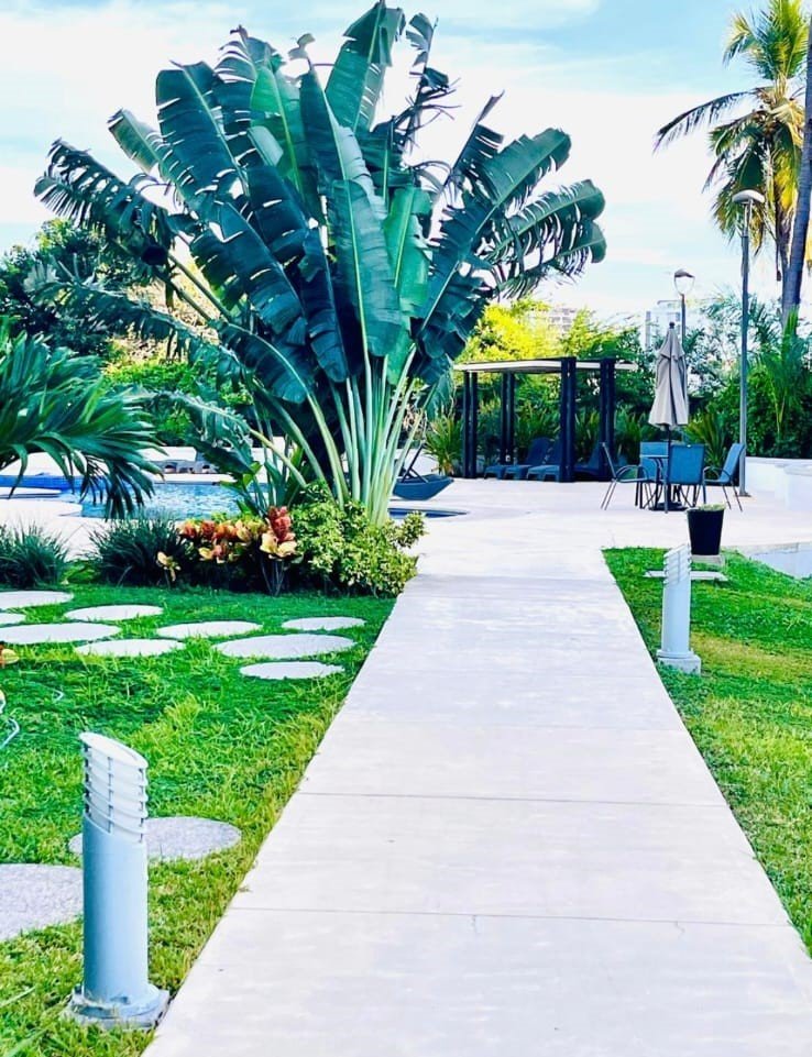 Camino de piedra y concreto rodeado de vegetación tropical y palmeras gigantes en Manzara Loft Resort.